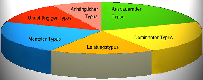Tortengrafik Tortengrafik